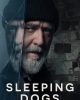 Sleeping Dogs (2024) สลีปปิ้ง ด็อก